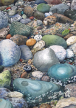 Low Tide